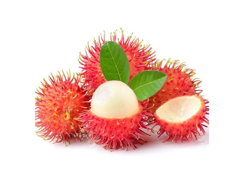 CHÔM CHÔM THÁI